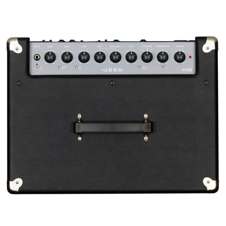 Blackstar Unity Bass 250 Watt Bass Combo Amplifier - Image 4