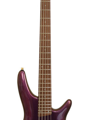 Ibanez SR305EDX-RGC 5-String Bass Guitar, Rose Gold Chameleon